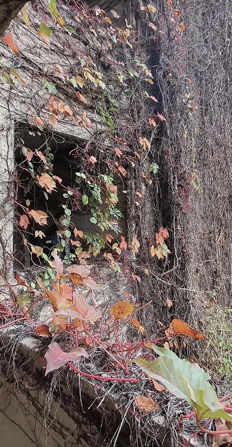 你知道有些小伙子长柤，条件都挺好的，为什么三十多四十多还是光棍吗？
以我同事她哥