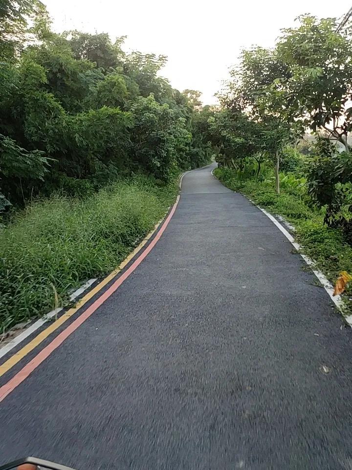 农村乡间小路，随手一拍都是大片。
前几天我回农村老家，沿着那蜿蜒的小路溜达。路两