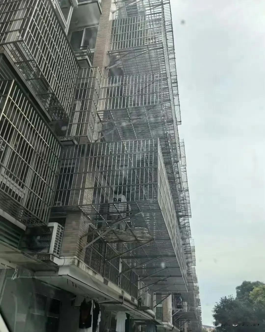 这老小区的防盗窗这么离谱吗？单纯的防盗怎么还往前延续，整个一排全是这！密密麻麻的