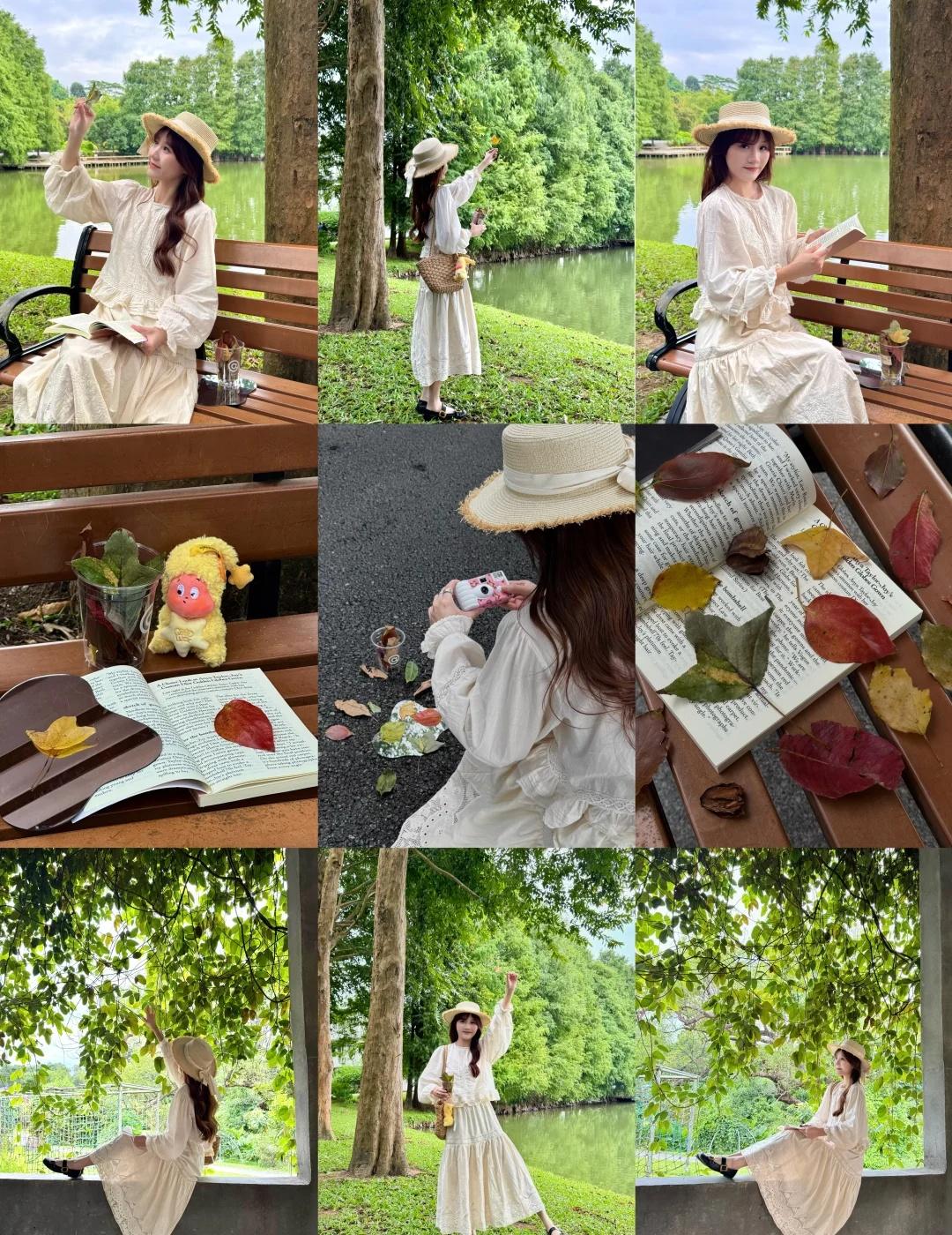 广州植物园❗️超有氛围感的捡秋🍂好出片～
🌳趁着秋高气爽
一起去华南植物园捡