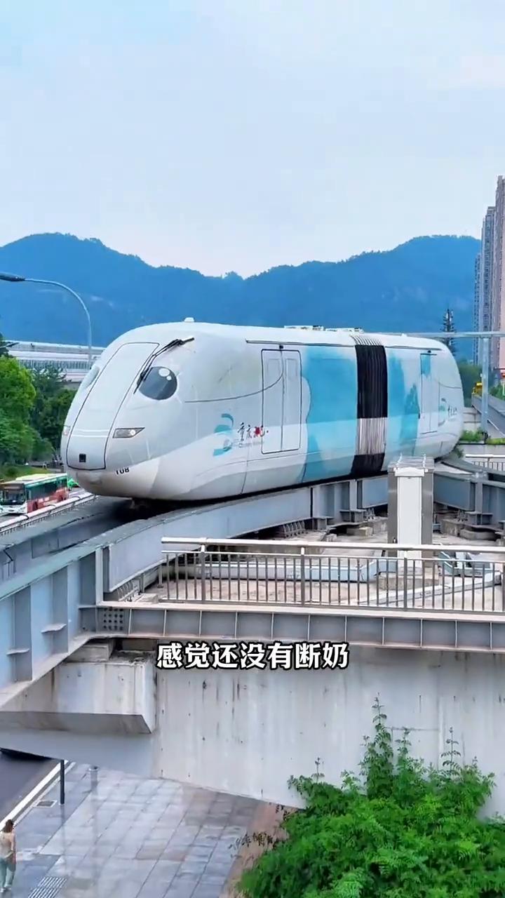 这是重庆的什么？这是重庆川美波浪路，路面跌宕起伏像波浪，开车就像在坐摇摇车，越开