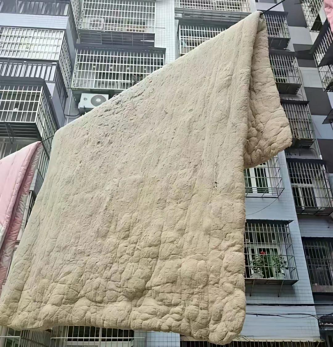 这不知道谁家的