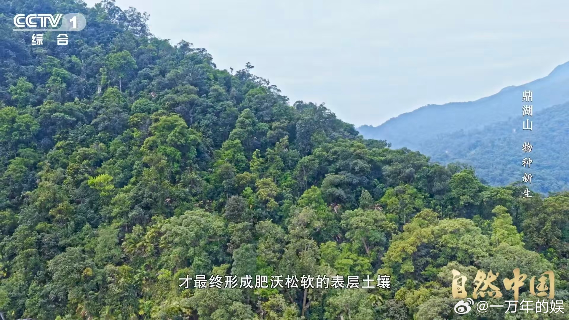 土壤的土腥味从何而来原来我们熟悉的土腥味，是微生物活动的气息！科考队在鼎湖山研究