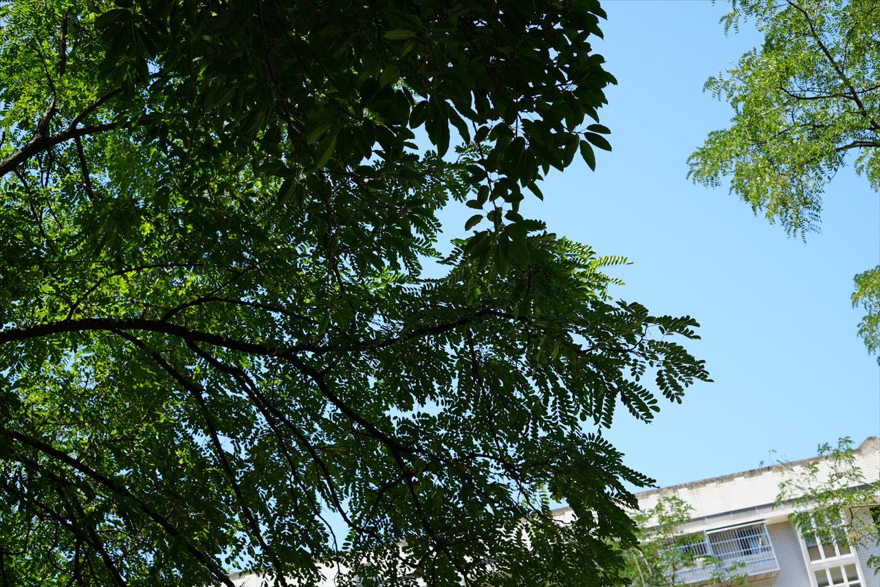 刘震云在书里写过一句话：一个人最大的成熟，就是接受父母的普通、接受自己的普通、接