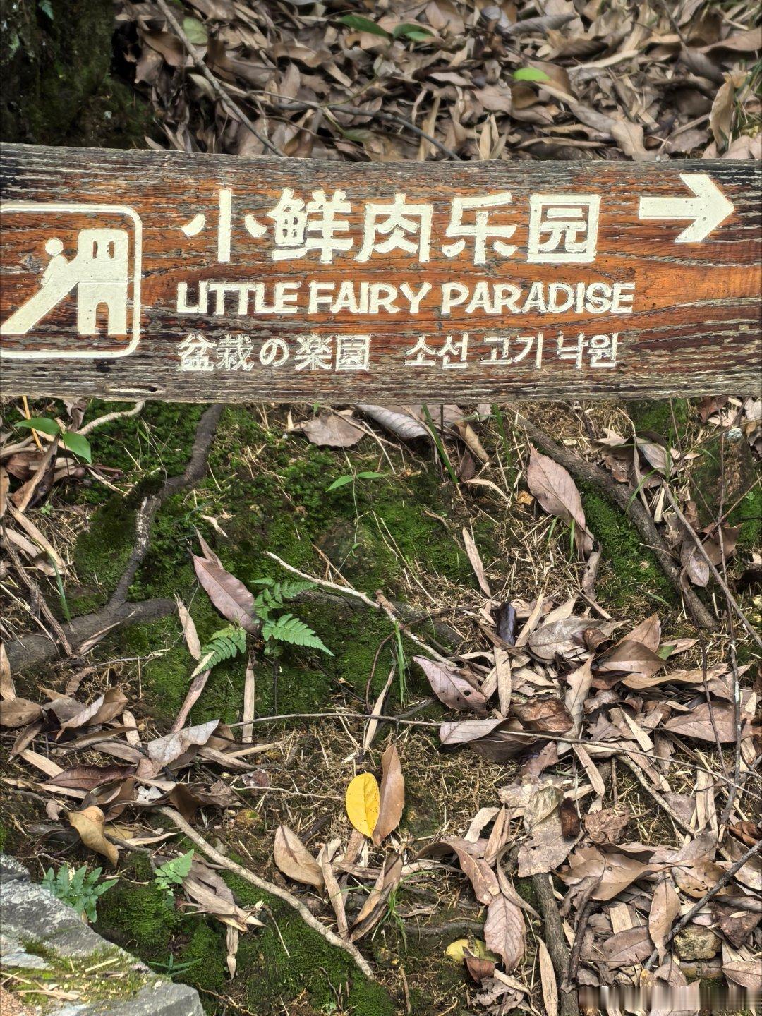 去不去？ 