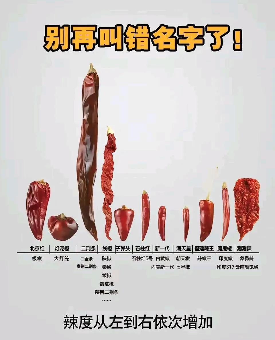 黄灯笼是我吃过最辣的辣椒，让它也来凑个热闹，应该排在哪？海南