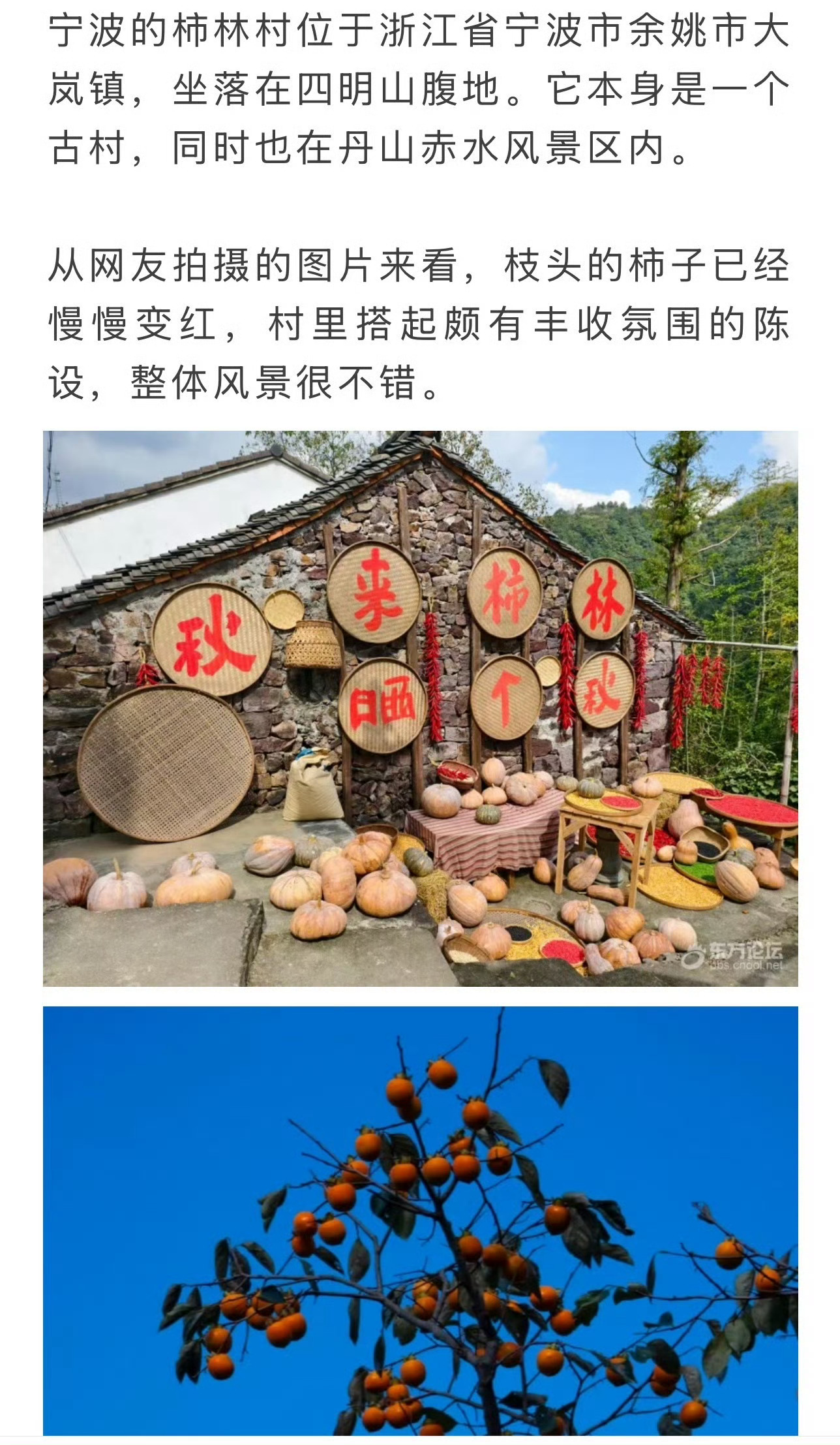 宁波一风景区又被吐槽65元进古村一家人就要几百 65元进古村，一家人几百块就没了