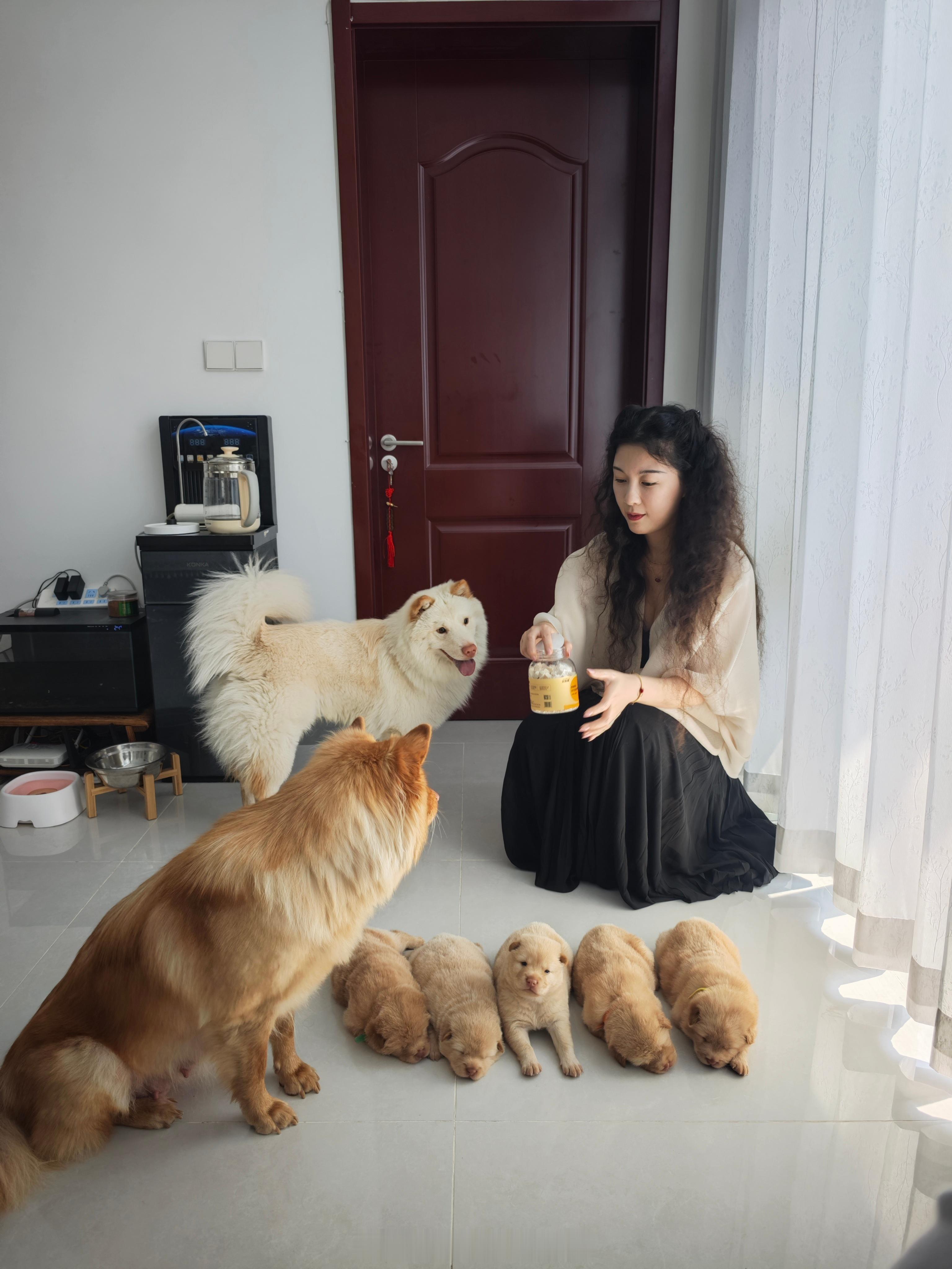 一张全家福很难