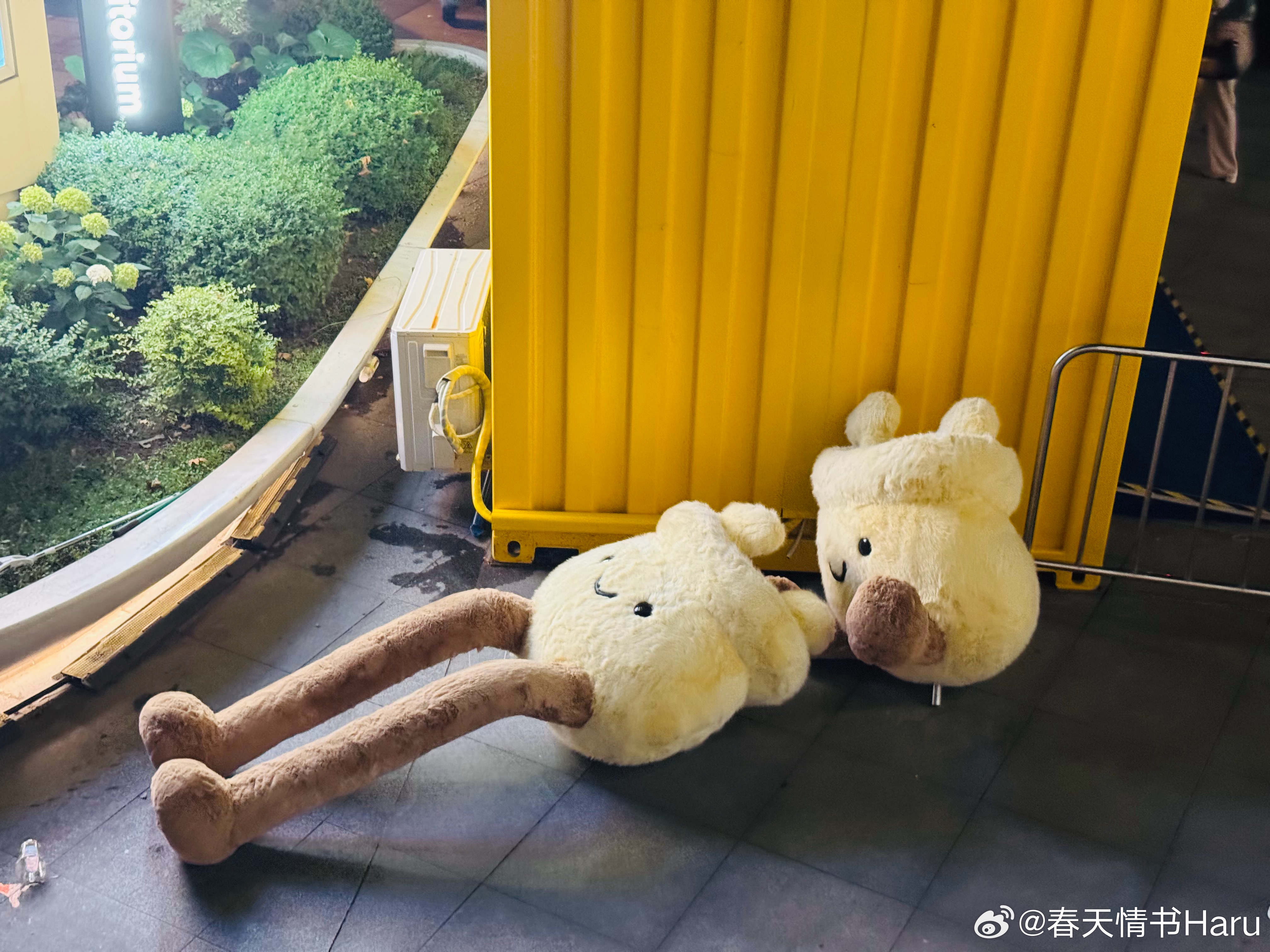 这一幕说明上影节是真结束了 上海·上海影城