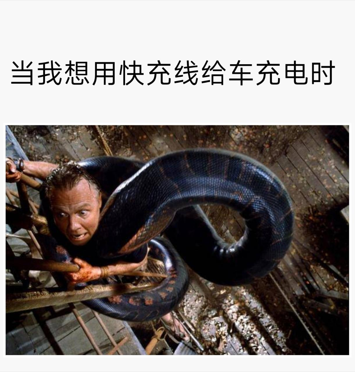 给我走投稿：今日meme[超话] 今日memes ​​​