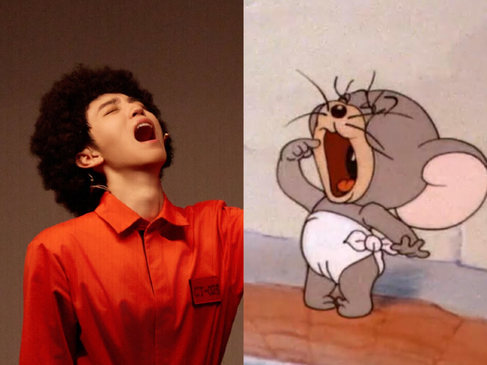 娱乐王俊凯猫系boy被鼠塑王俊凯鼠塑 王俊凯猫系boy被鼠塑，怎么这么可爱 