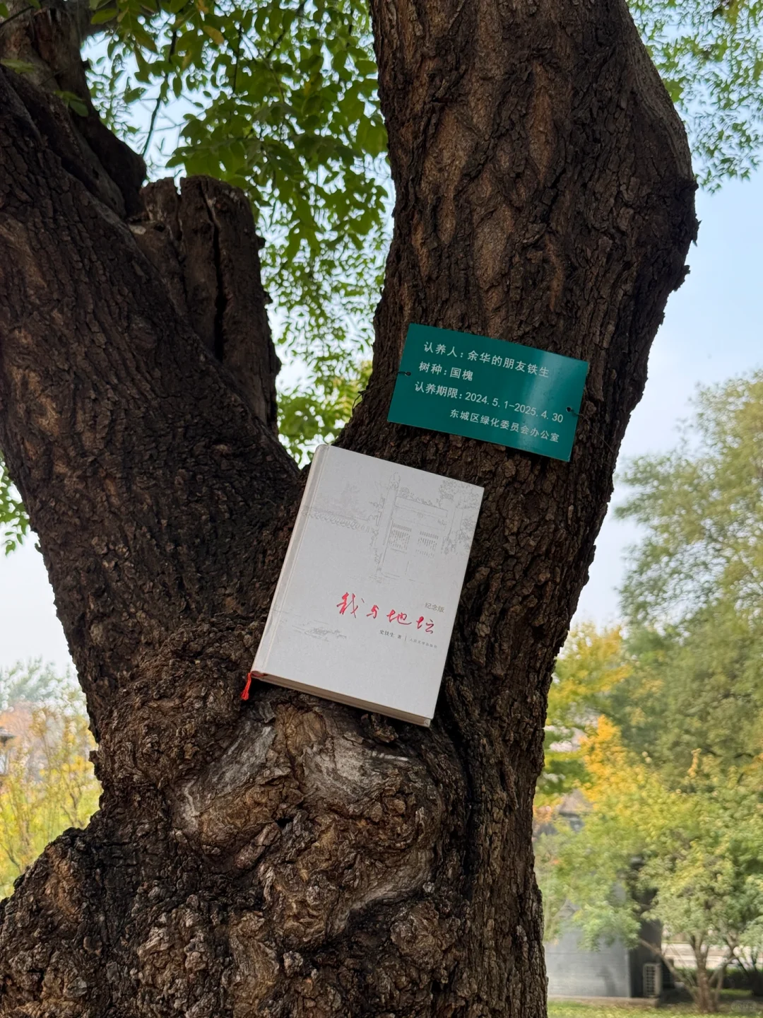 11.1实拍 |地坛的秋天从来都不会让我失望‼️