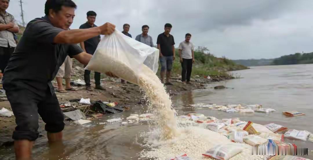 放生大米，无稽之谈。
记住伟人的一句话：贪污和浪费是极大的犯罪。
浪费粮食可耻！