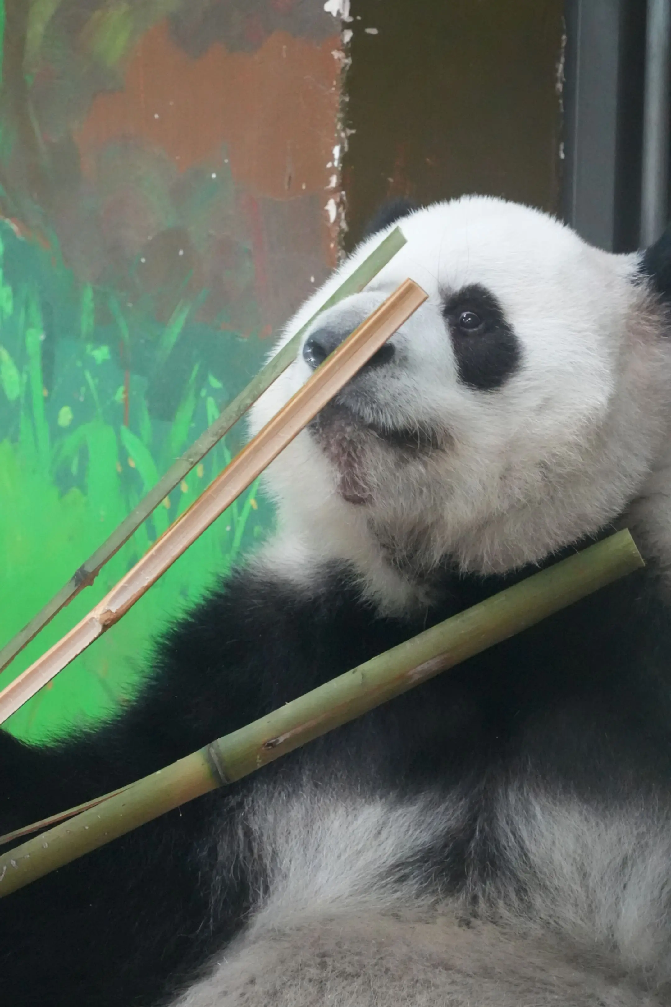 雅一这张脸长得真权威啊。今天拍照，我心中一直念叨着，雅一长得真权威啊！...