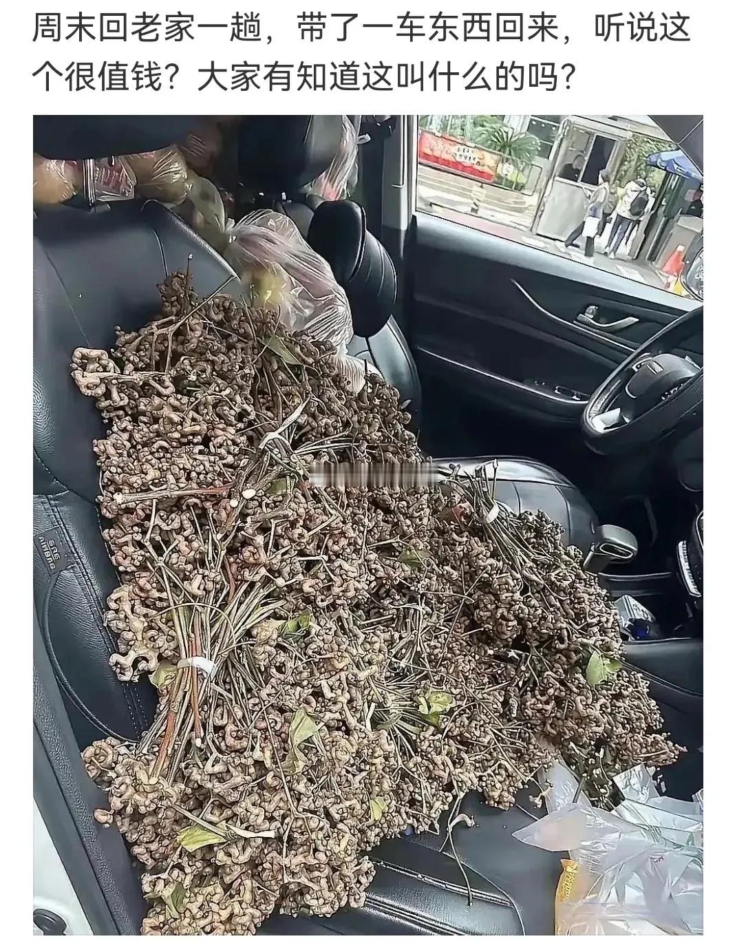 敢打赌全网没有人认识这个？ 