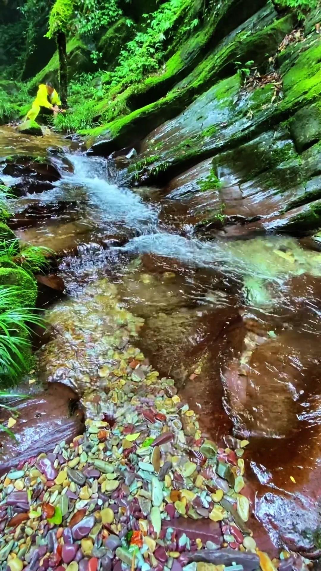 把积攒的烦闷、解不开的心结都留在山野，不用强求立刻释怀，就让身心暂时逃离喧嚣，看