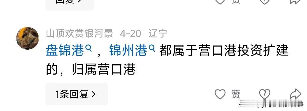 今天在评论区里看见一条评论，心里五味杂陈啊，锦州港是退市了，谁上来都踩一脚，但是