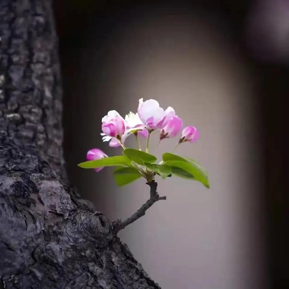现代人为什么容易被骗？错把时代的红利当成了自己的能力。


现在，“诈骗”已经是