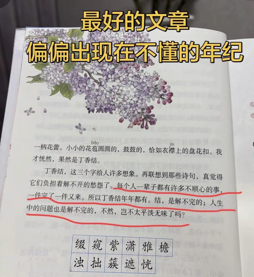十几岁读不懂四十多岁的人生，四十多岁却读懂了十二岁的课文。只是再也回不到懵懂的年