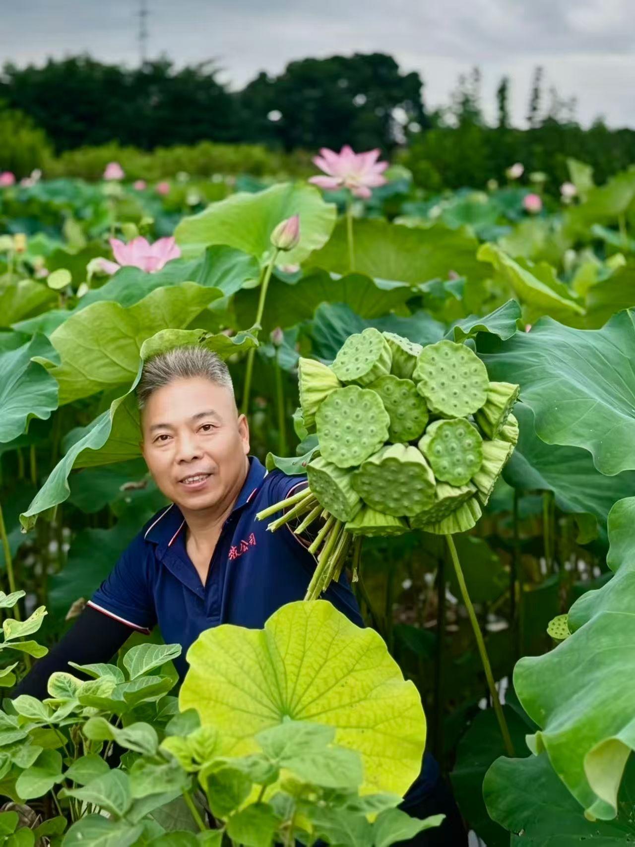 一切都是最好的安排。
​摘莲蓬、挖藕不做好防护，还真是痛并快乐着哈哈……