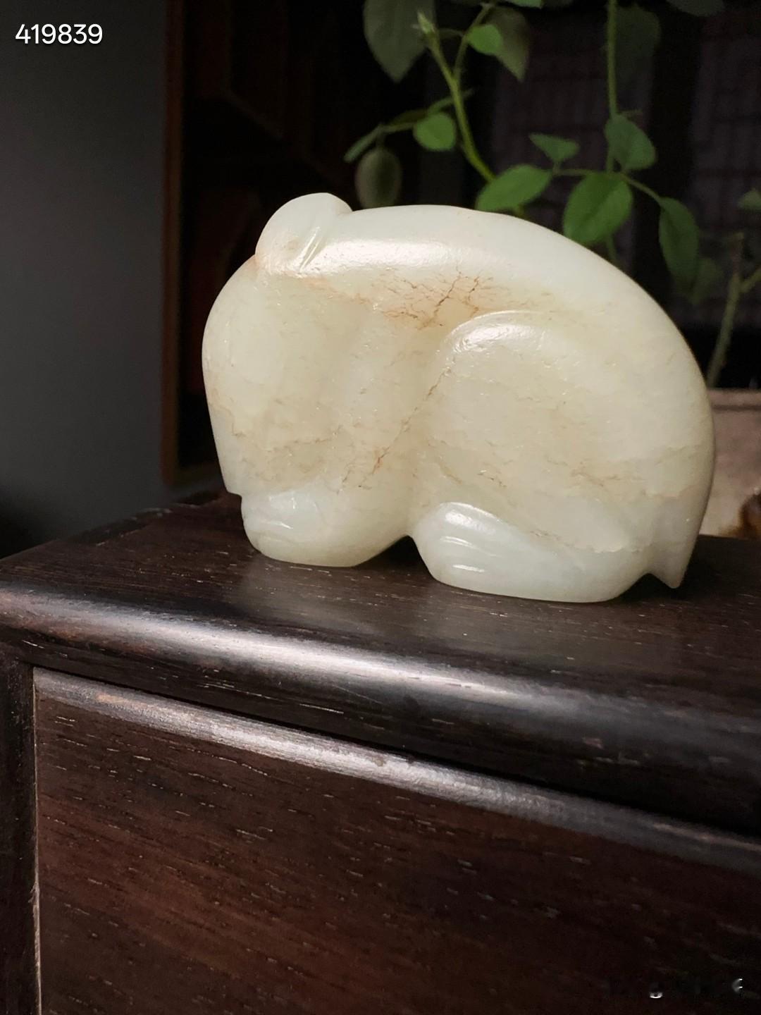 中古和田瑞兽
