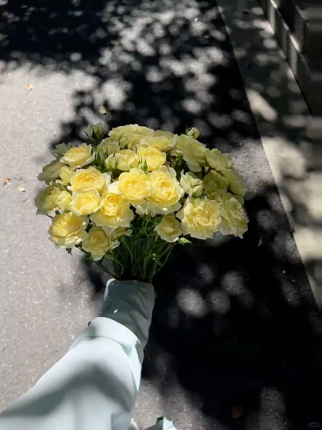 人生真的需要很多阳光和鲜花 ​​​