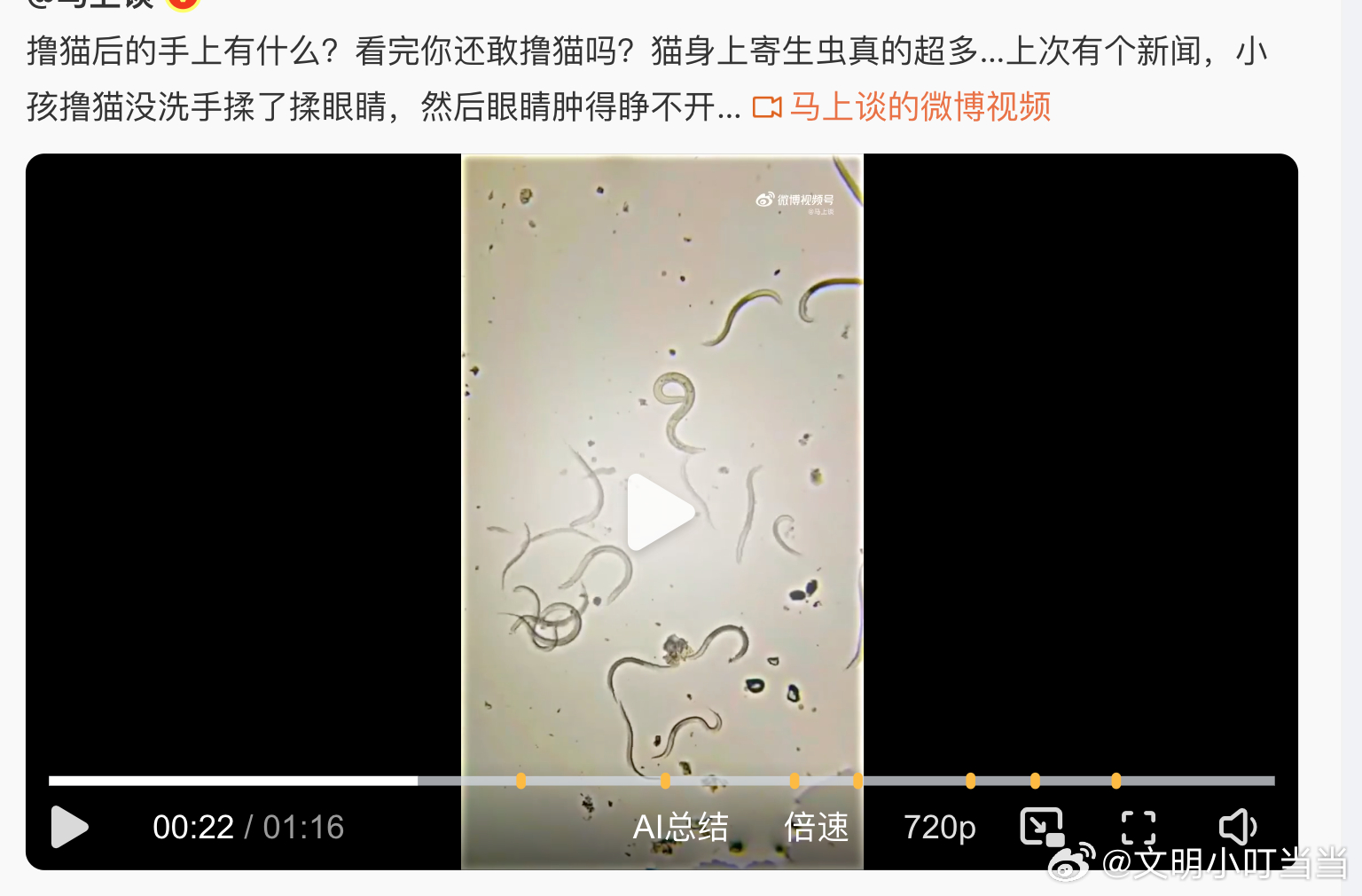 摸完家猫的手，在显微镜下有这么多寄生虫。投喂流浪猫的，说流浪猫比人干净 