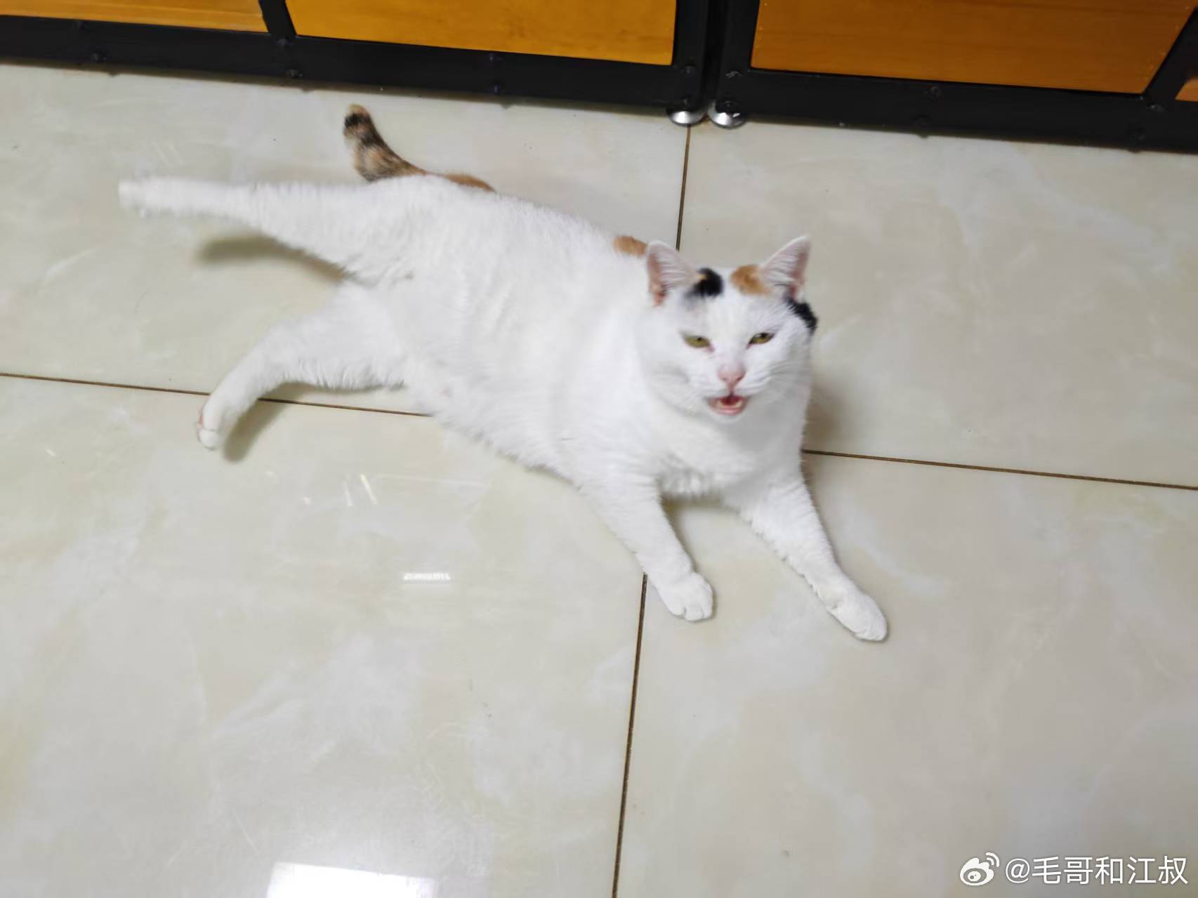 江哥对我说：“妮儿最大的好处就是一叫就应，不像有些人，怎么叫都不应。你说我说的是