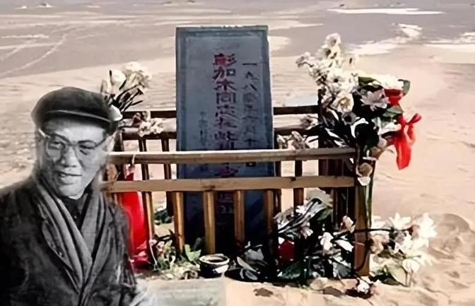 1980年，失踪已久的彭加木却突然“现身”美国，华国锋严令三军：要不惜一切找到他