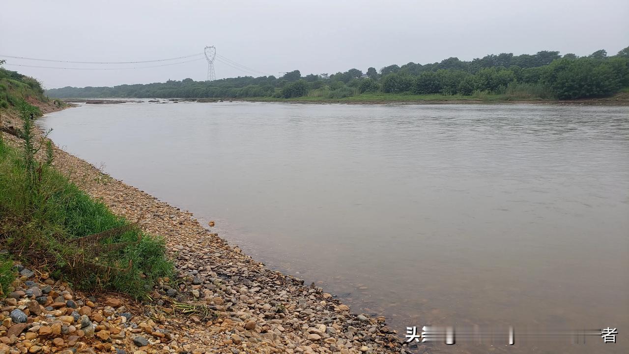 此处河滩的石头，已经被无数人捡过无数次了，有时来也无收获，每次河面涨水后，退水再