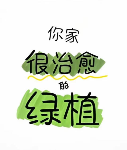 家里的花花草草 千万不要发朋友圈‼️