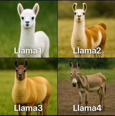 大模型开源鼻祖的一生！每天跟我涨知识 动物保护 动物