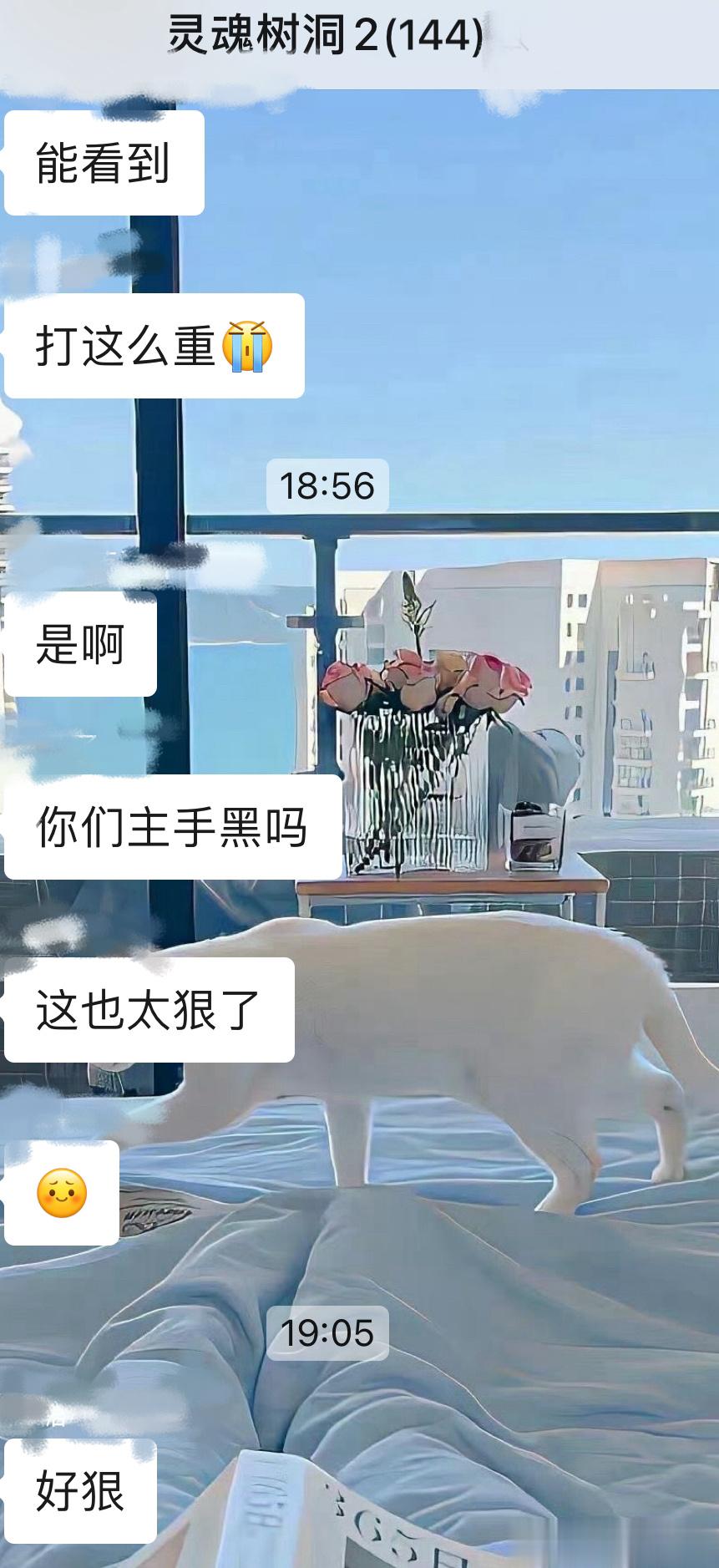 本周铁铁福利已更！且看且珍惜❤ ​​​