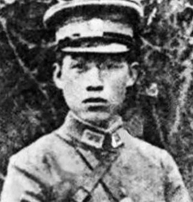 1938年国军少将张岚峰率部投日，后来他弟弟张俊峰被日军打死。事后张岚峰不仅不生