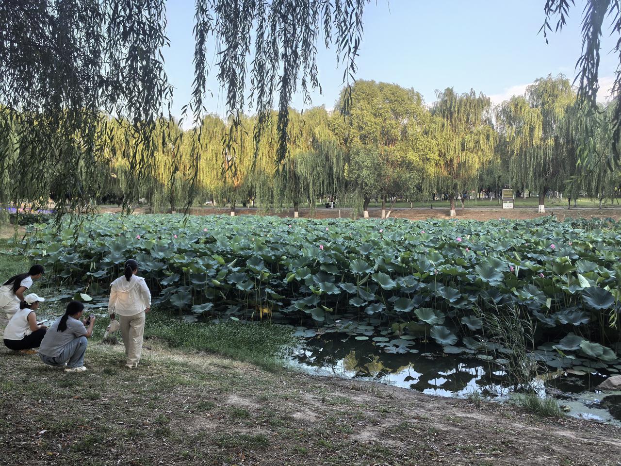 素老三写头条五年，赚到190万，从不停更。
可今儿一大早就发现关于素老三停更的多