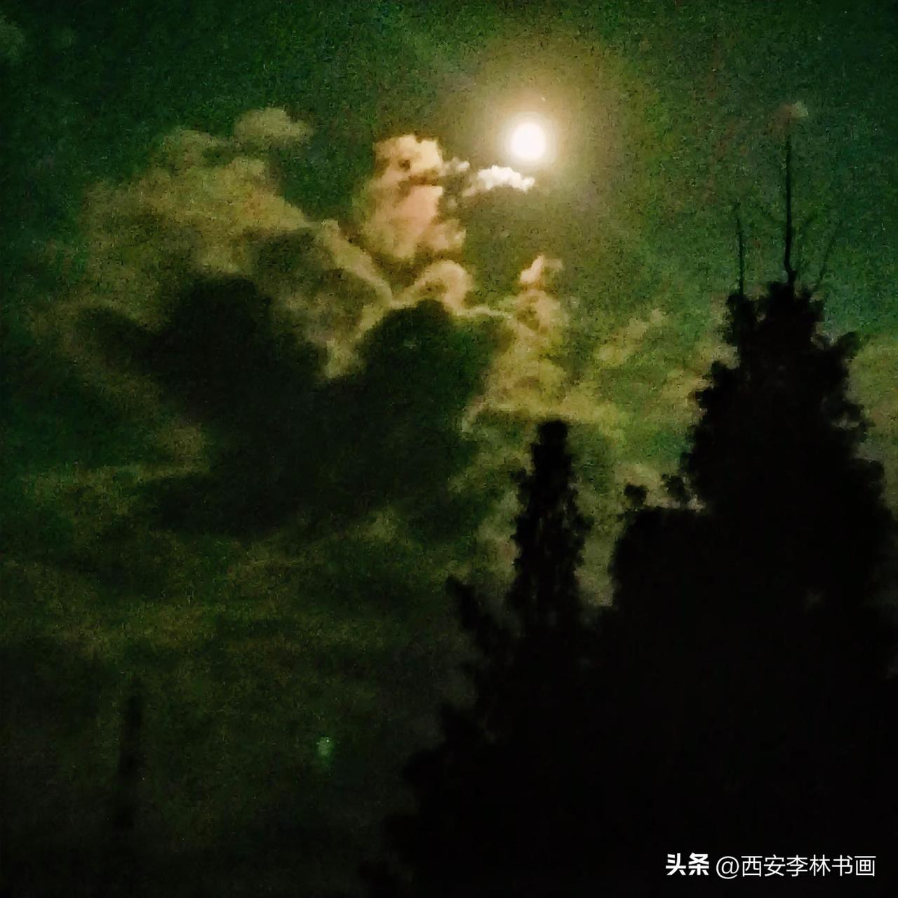 《明月（李林6月27日摄于汉中城固）》
