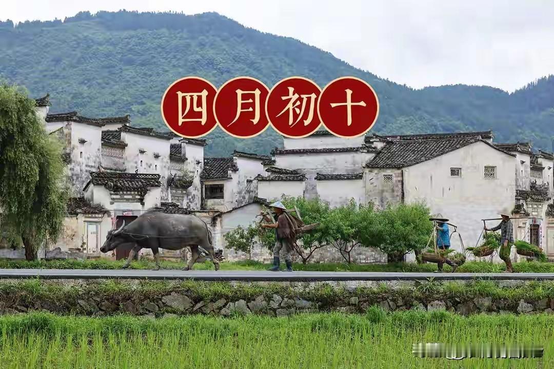 今日四月初十"危日"，牢记4个忌讳：1不去、2不守、3不拜、4要吃
 
今天是农