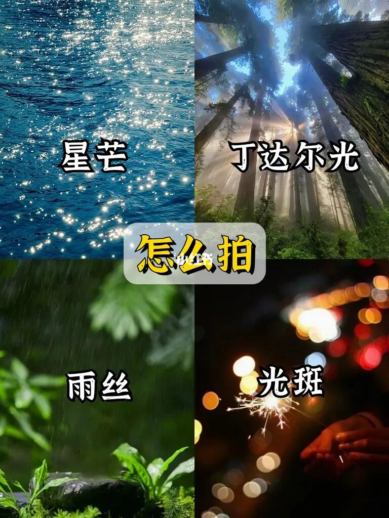星芒，光斑，丁达尔，雨丝怎么拍❓