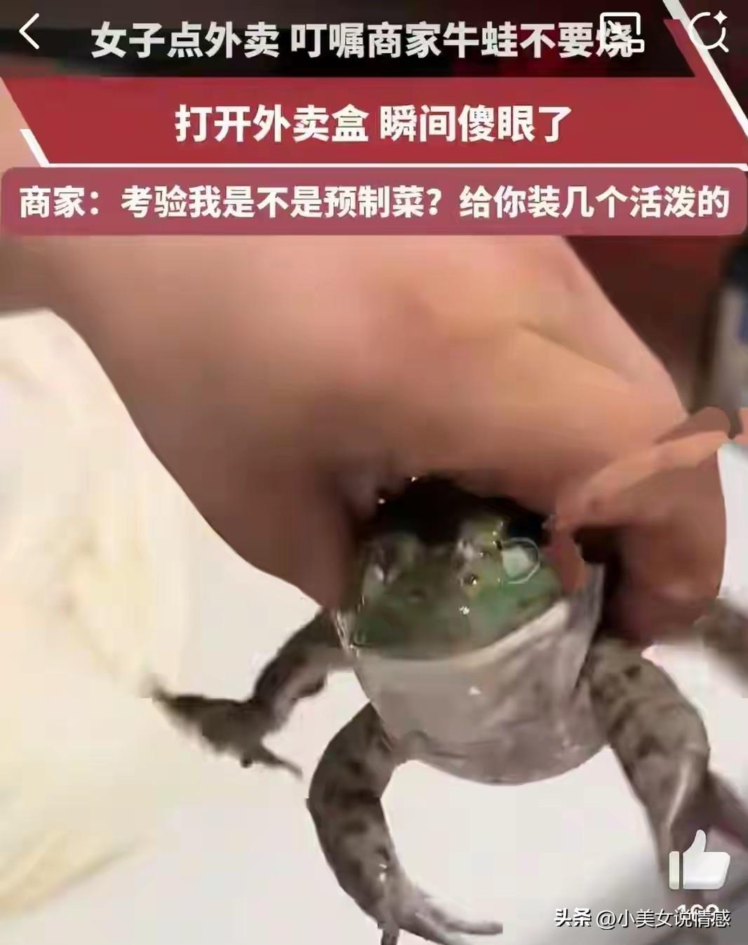 女子点外卖备注牛蛙不要烧收到活蛙真的要被这波外卖乌龙笑晕了！[心][呲牙][玫瑰