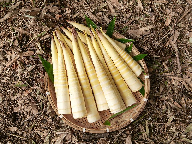 硫磺熏竹笋对健康有何危害吃了硫磺熏竹笋，轻则喉咙烧的慌、拉肚子，长期积累在身体里