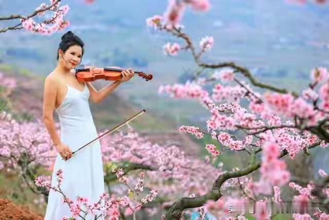 结婚五年吵了1000多次架。真正让我醒悟的，是这三个字——“我错了”。

听起来