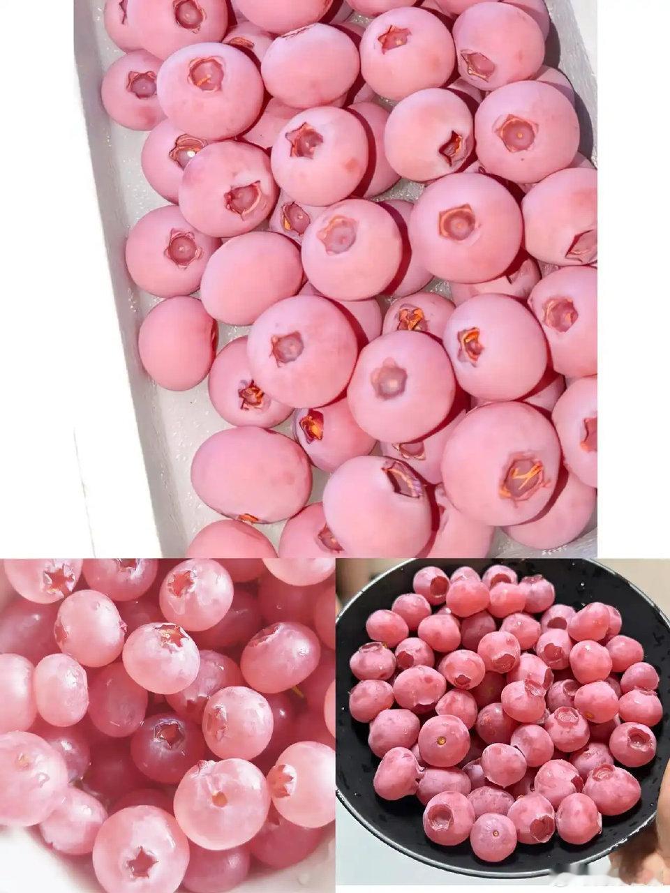 离谱！粉色蓝莓炒到400元一斤，颜值溢价到底值不值
 
蓝莓大家都不陌生，但你见