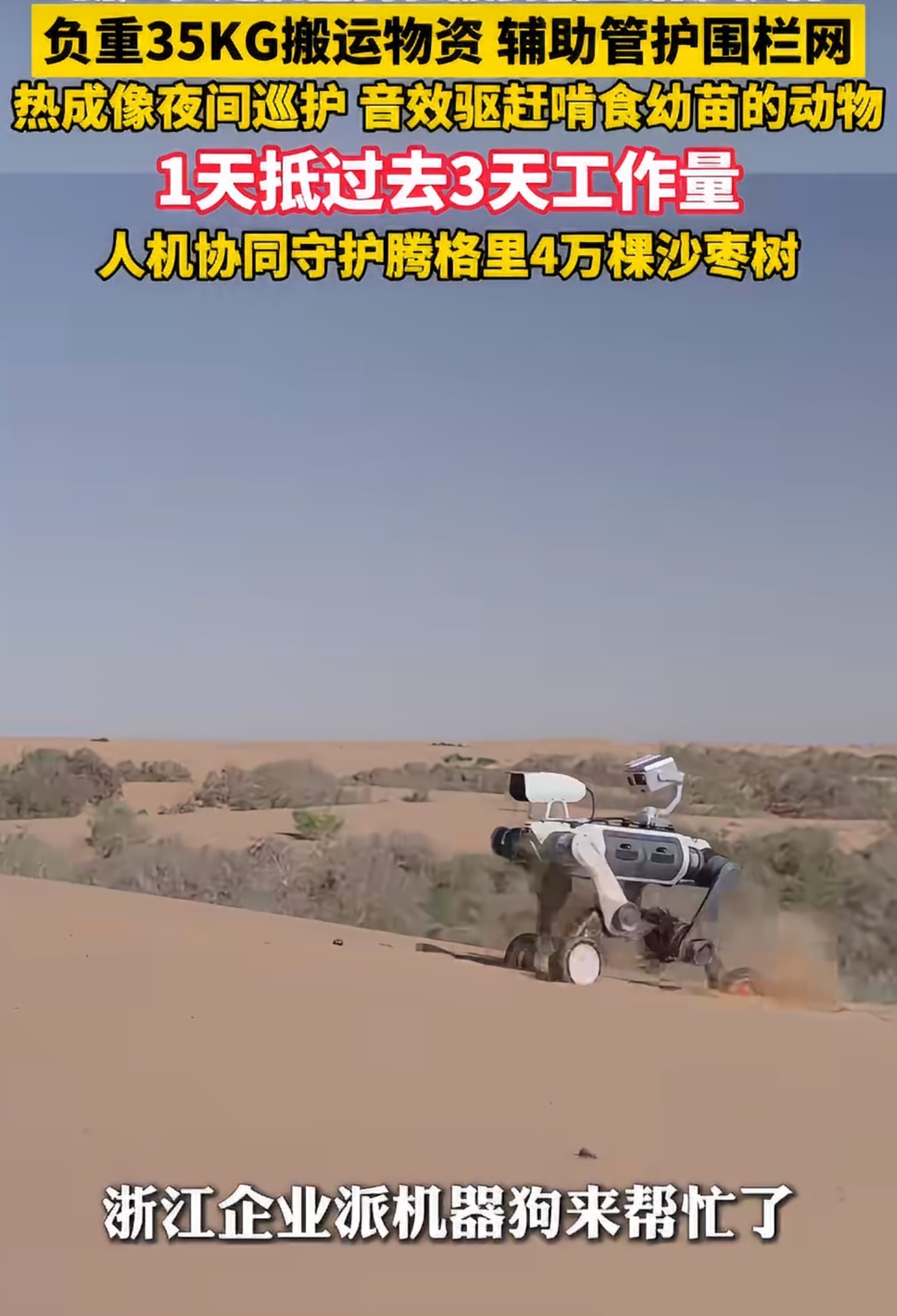 浙产机器狗去内蒙古帮忙治沙了机器狗上岗沙漠治沙，并非替代人工种树，而是承接高危繁