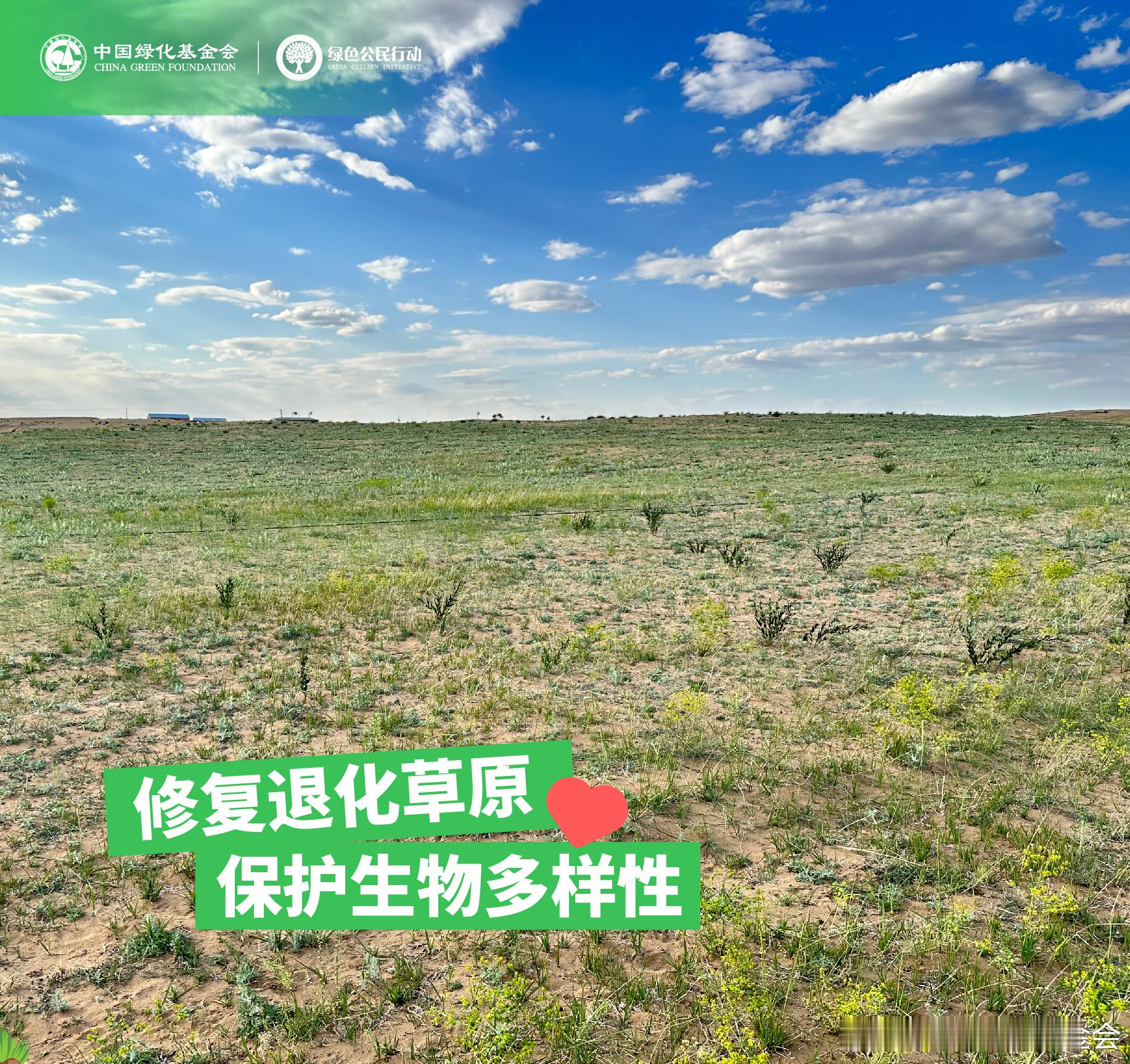 奇妙物种守护计划 你好呀，我是北方草原上的冰草，特别感谢你云守护了我！你知道吗，