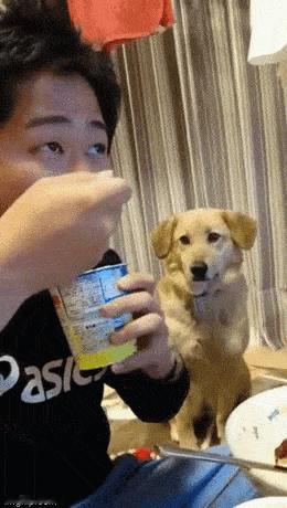狗子：我没看，搞得我很想吃似的 ​​​