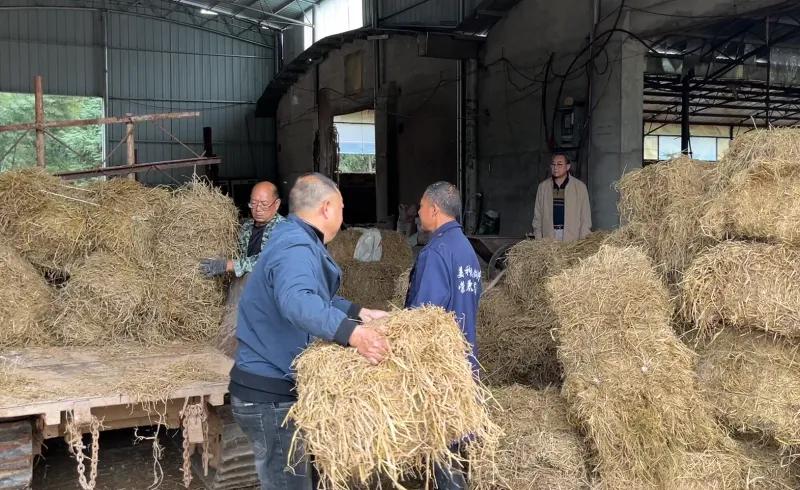 变废为宝 秸秆综合利用蹚出“双效双赢”新路径