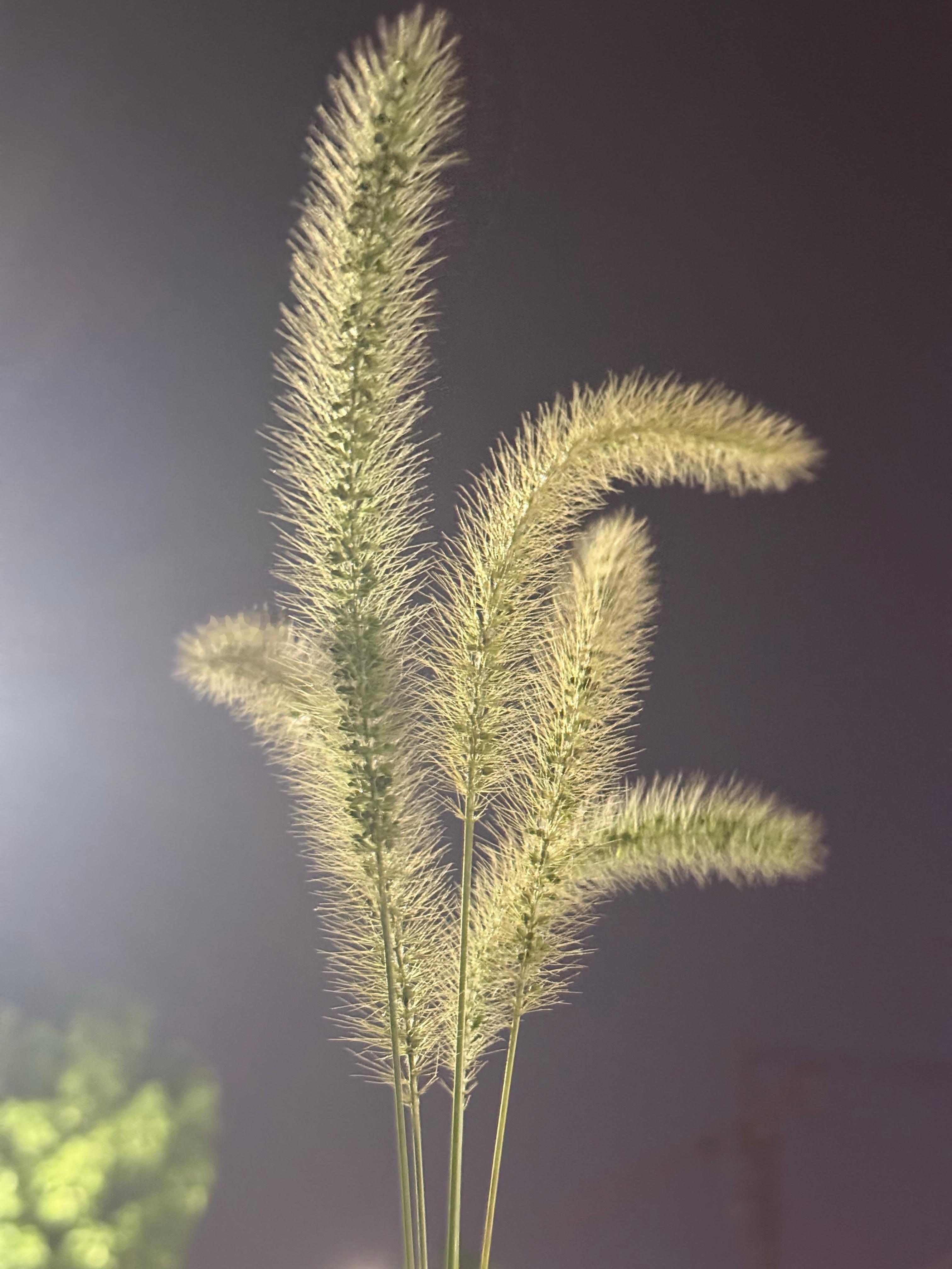 像不像无骨鸡爪哈哈哈哈 ​​​