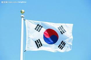 进入灭亡倒计时？韩国或将成为世界上，首个自然消失的国家！
 
7月29日，韩国数