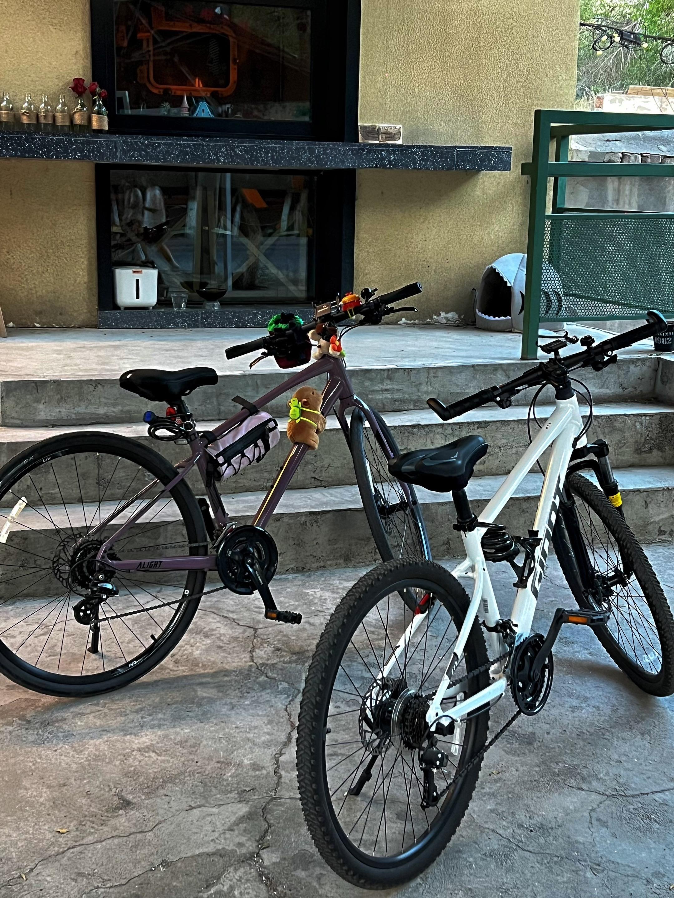 明年夏天再见吧～