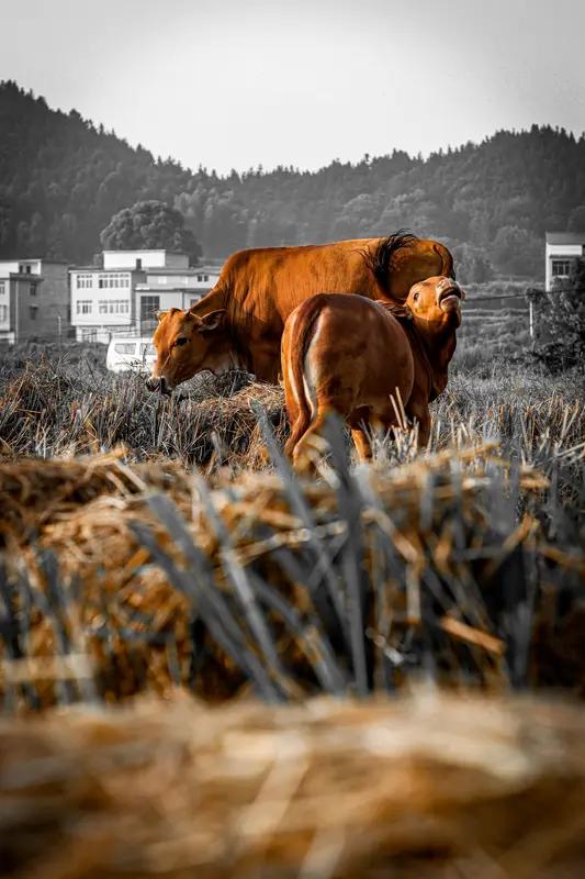 弄懂了五个为什么？才能在股市赚钱，并且知道自己是怎么亏损的。
   第一、为什么